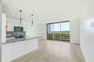 Living/Dining/Kitchen/View