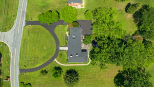  Photo 88