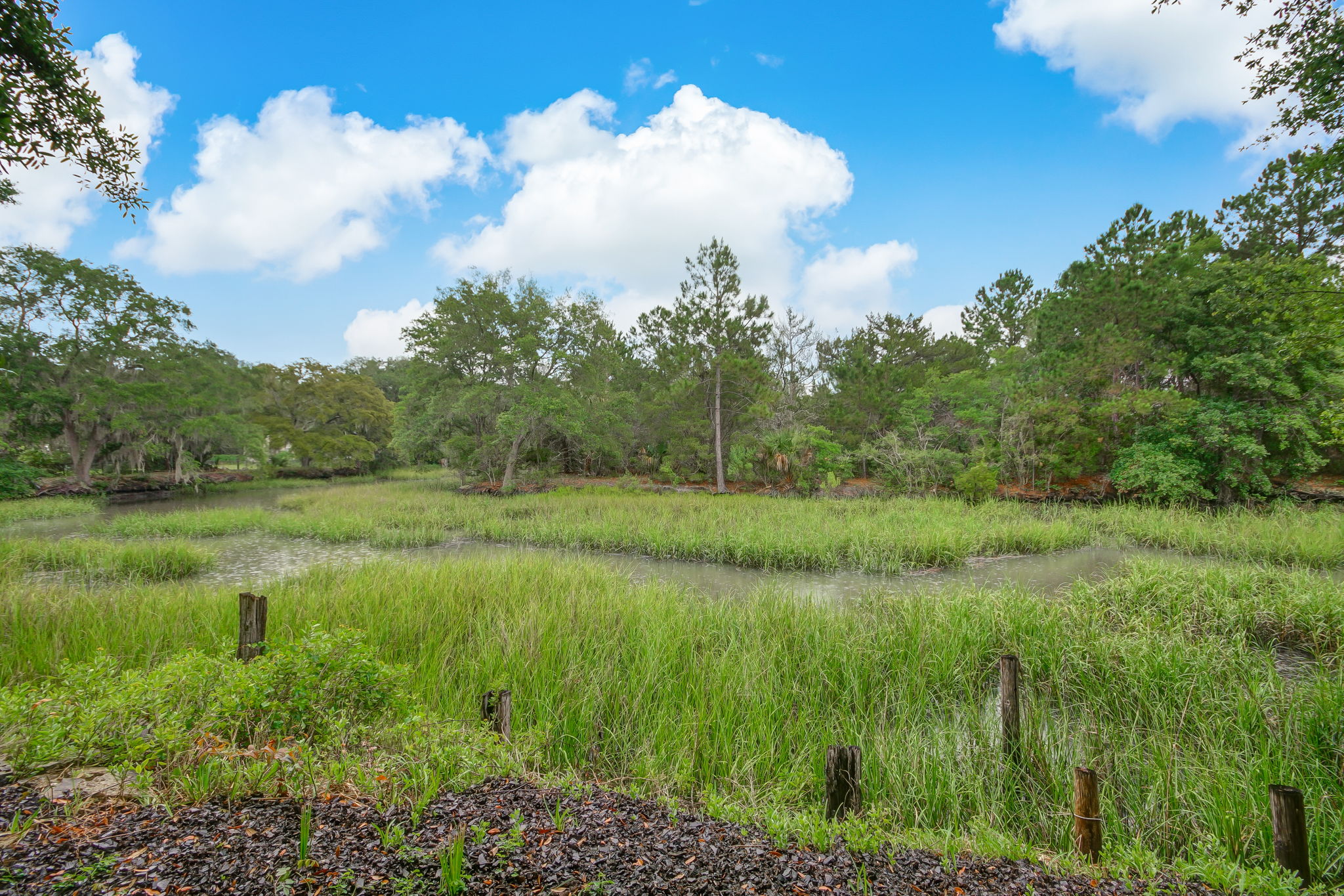 Creek View