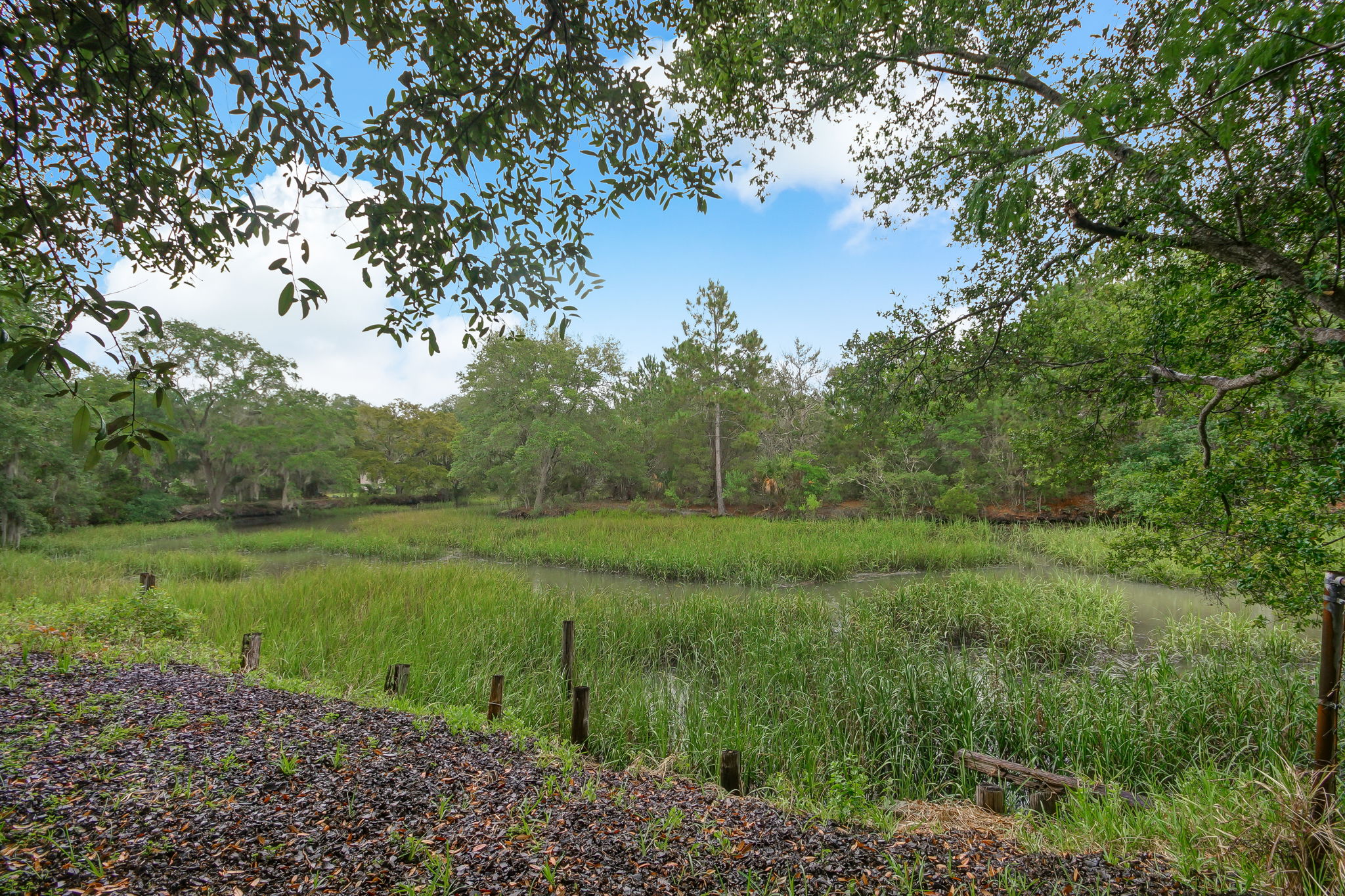 Creek View