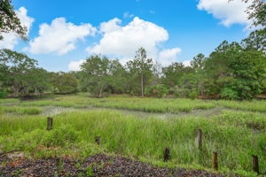 Creek View