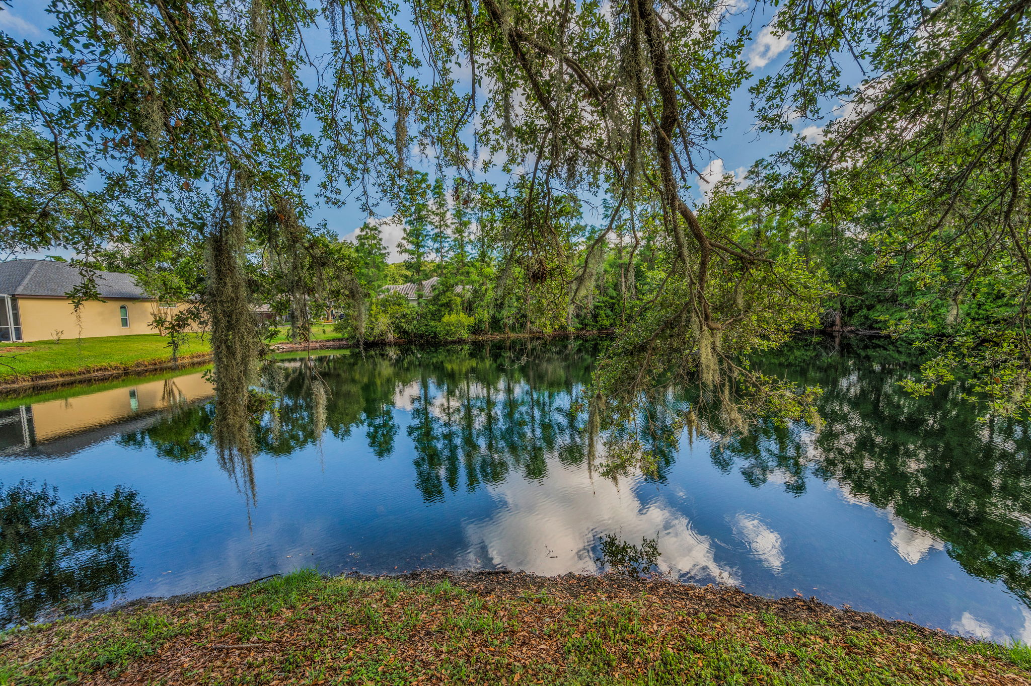 Backyard4