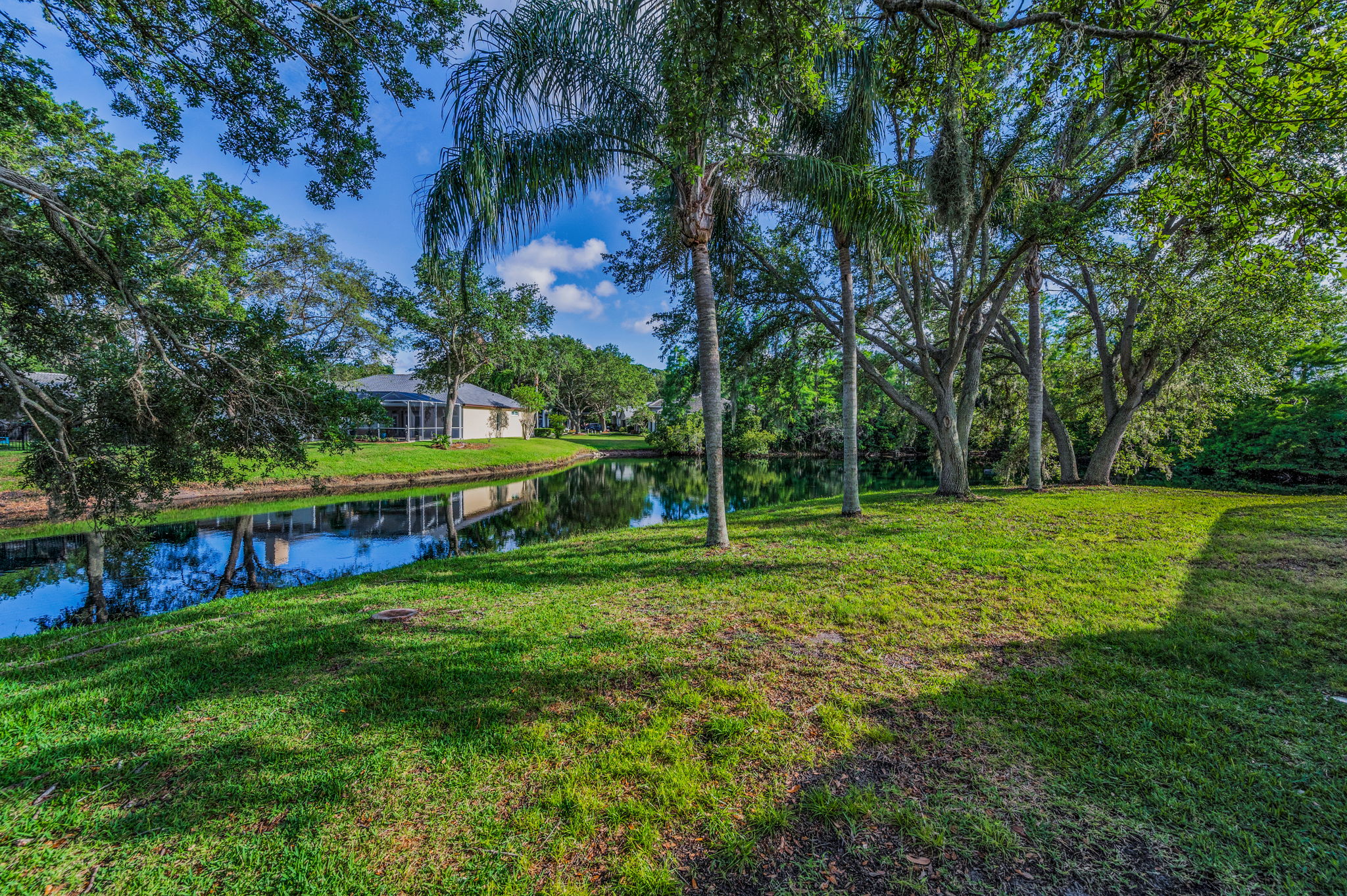 Backyard9