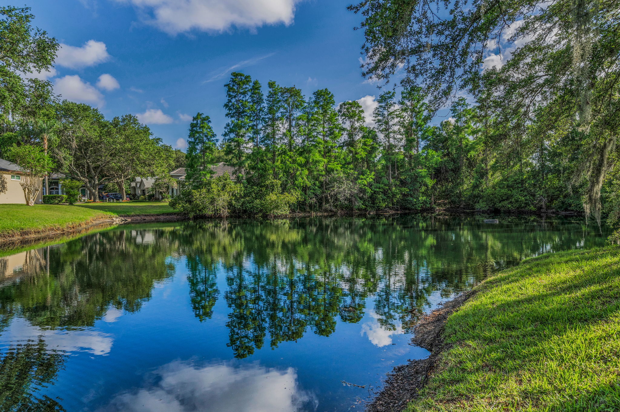 Backyard10