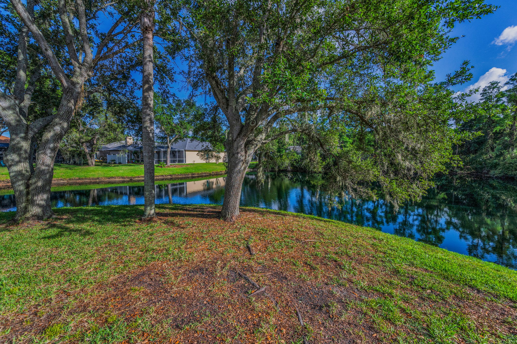 Backyard14
