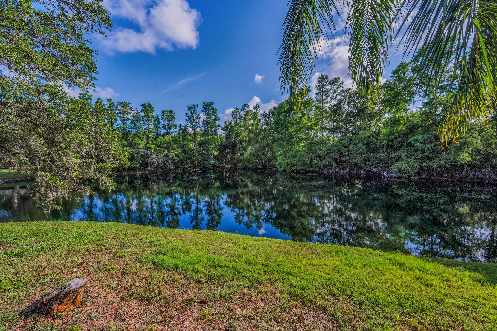 Backyard17