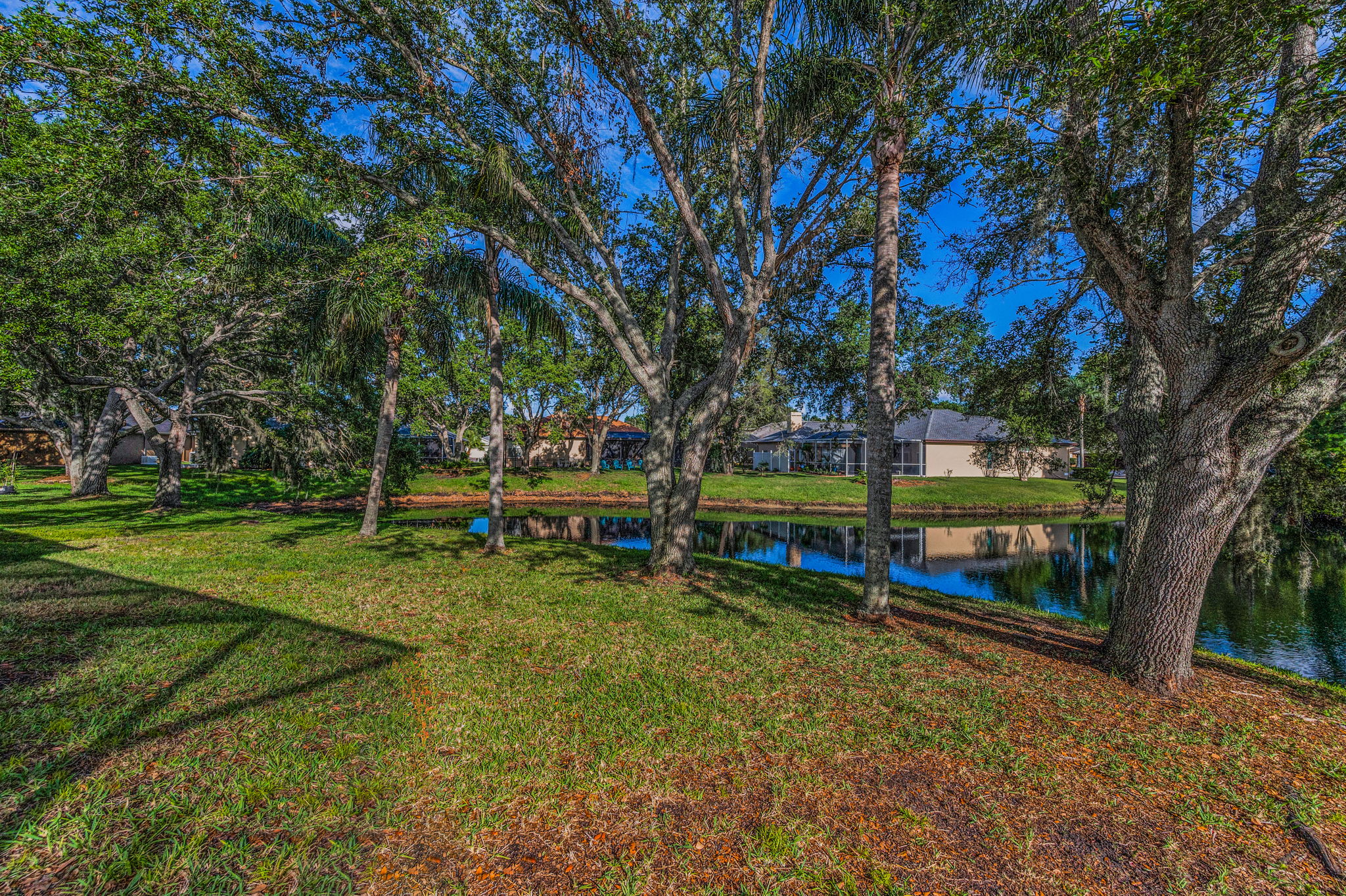 Backyard18