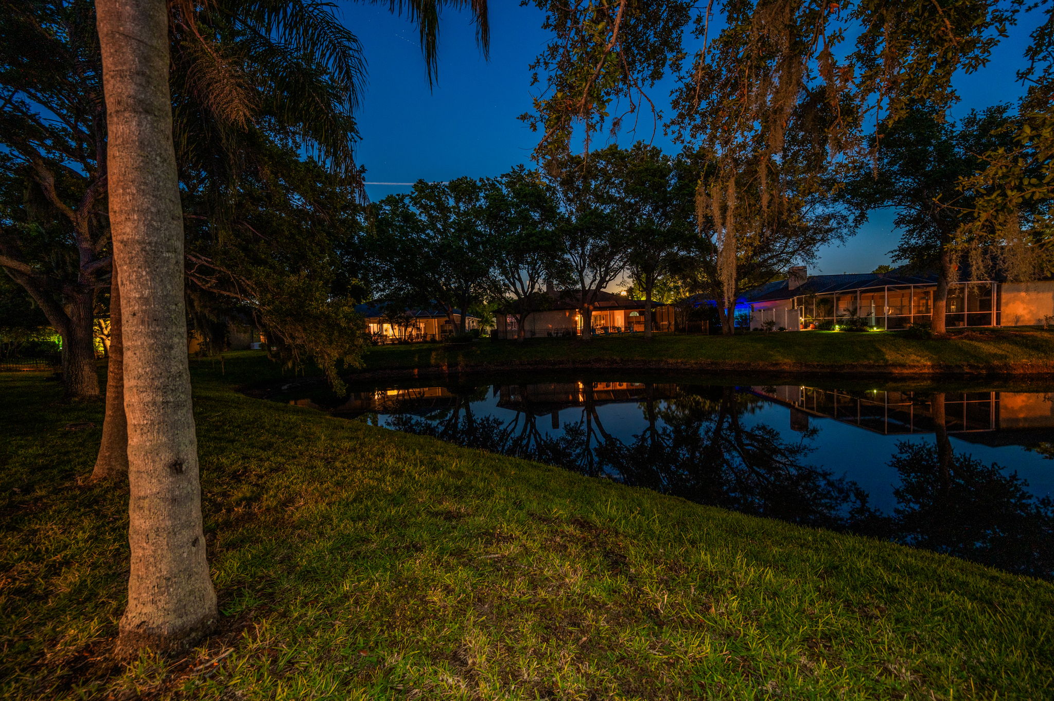 Backyard25
