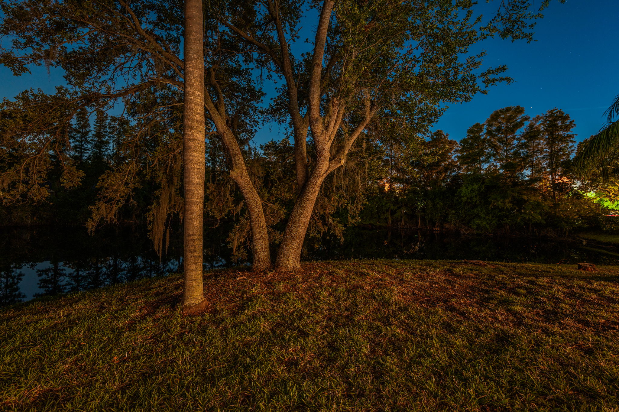 Backyard34