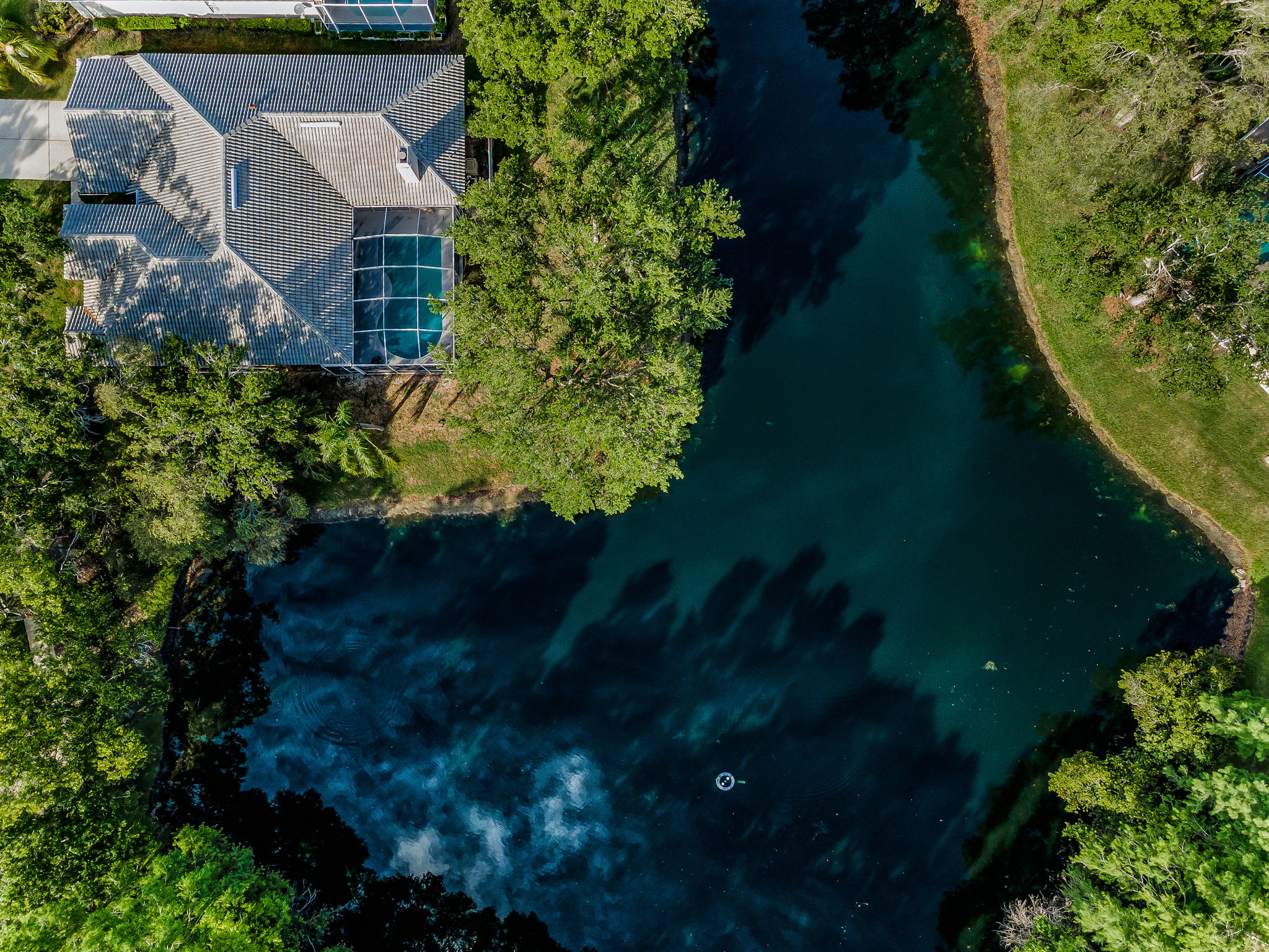 Aerial (7)