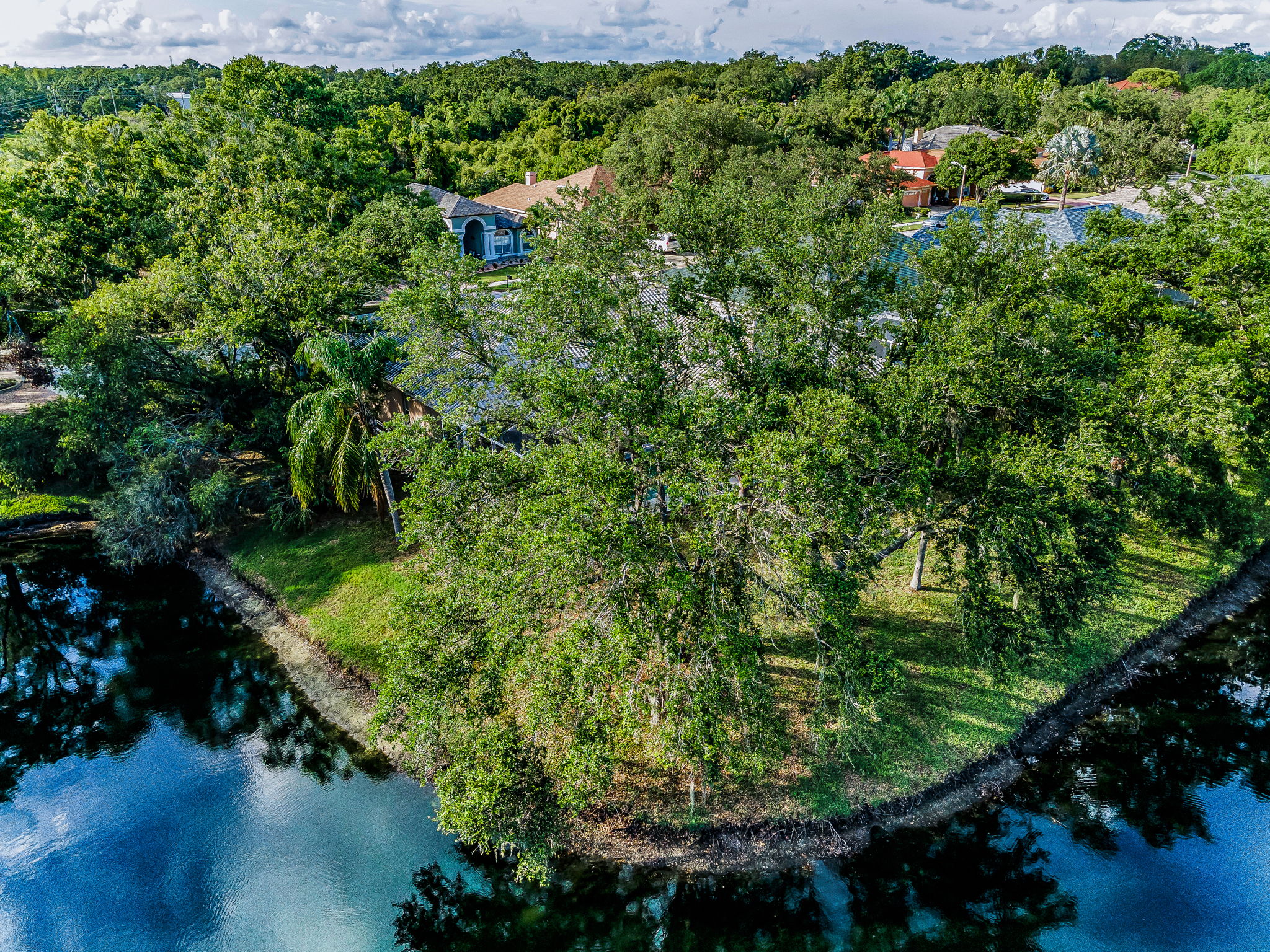 Aerial (14)