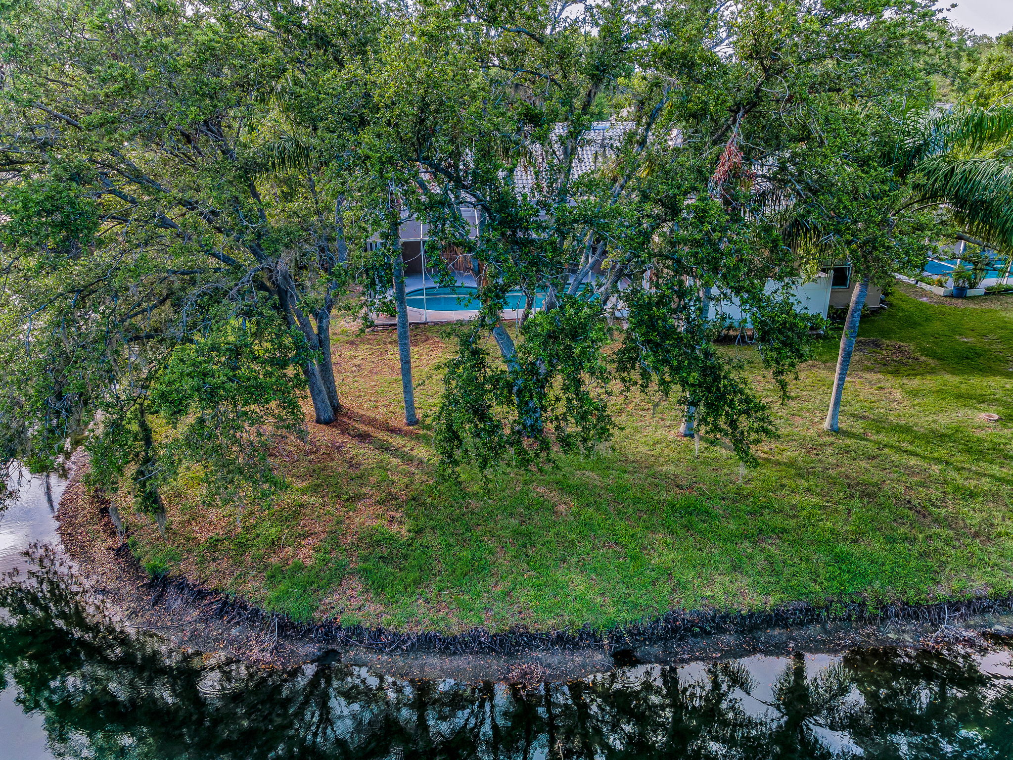 Aerial (15)