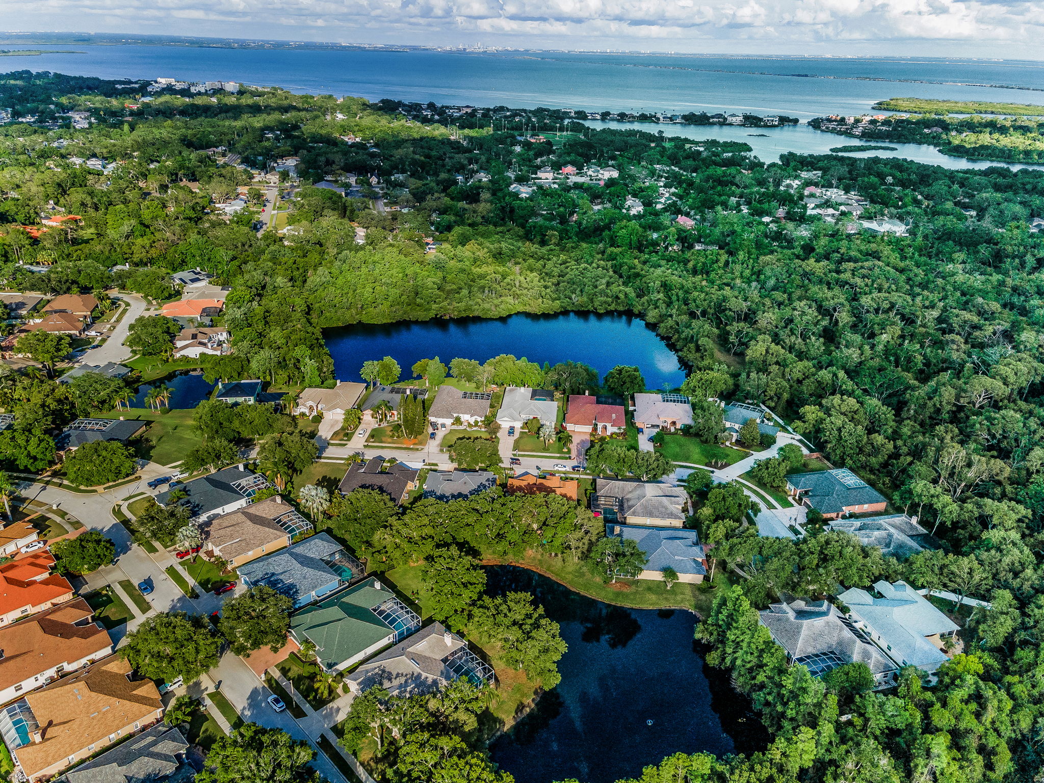 Aerial (20)