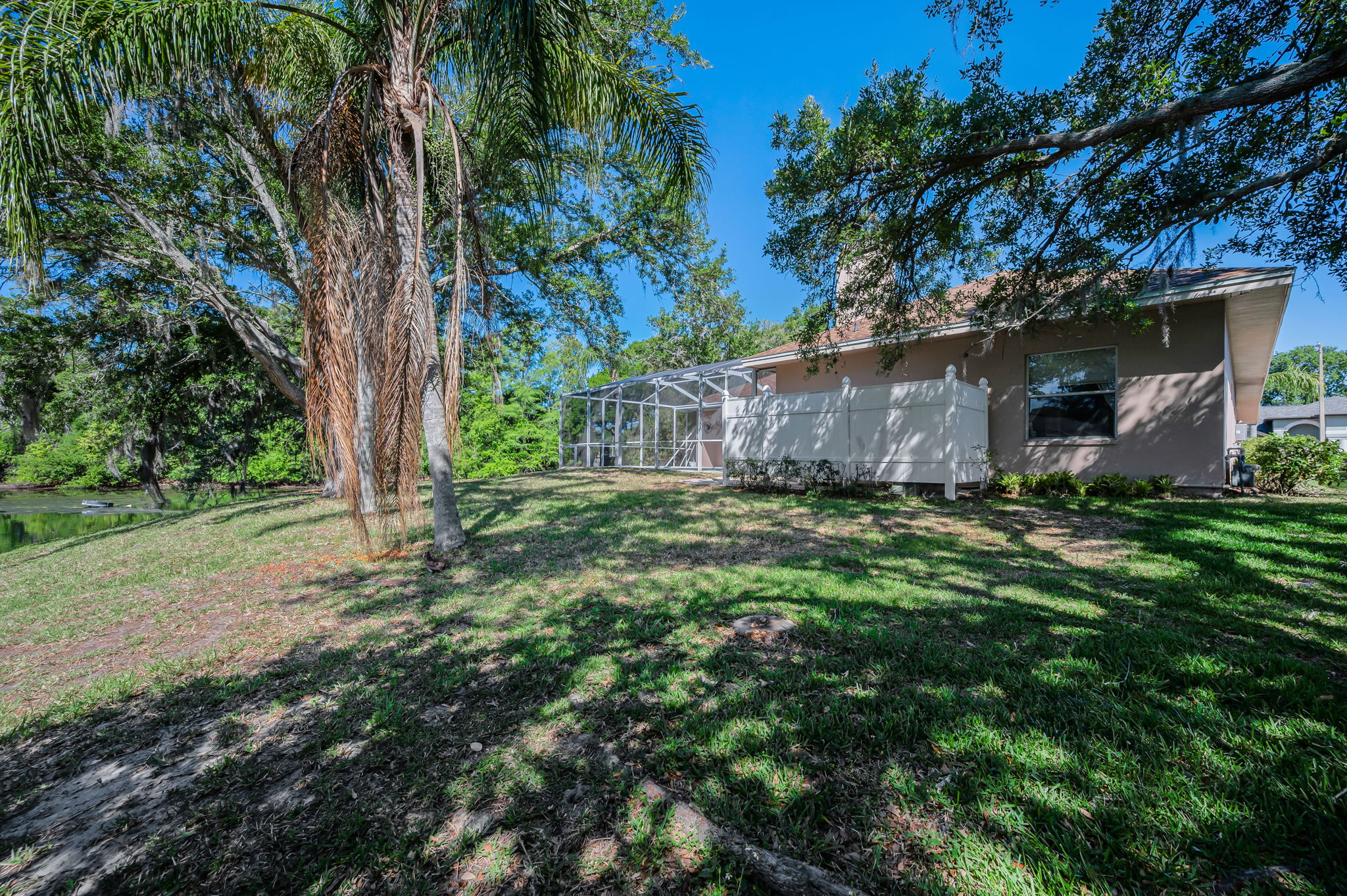 Backyard11