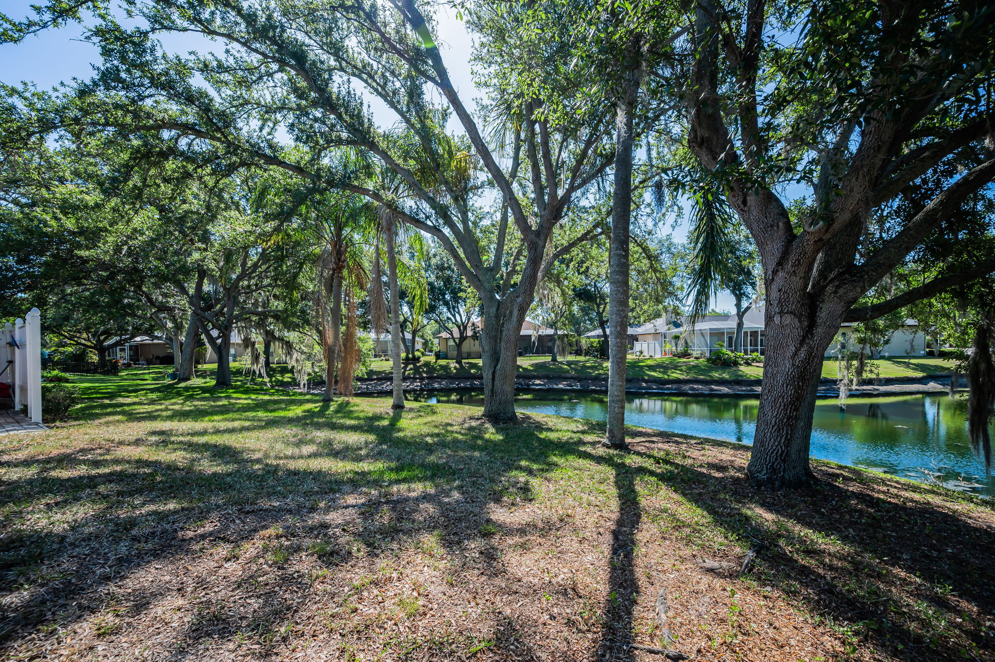Backyard5