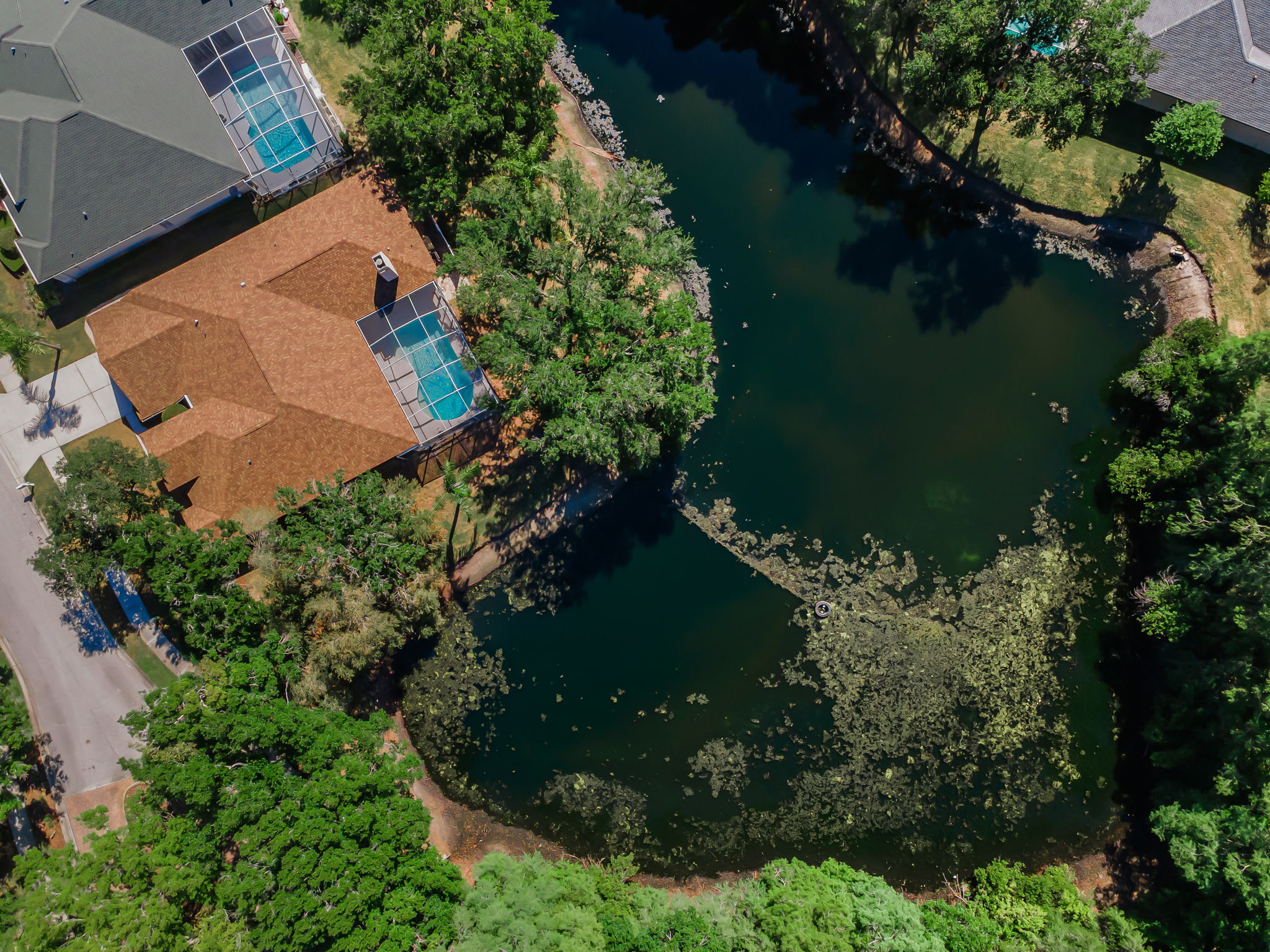 Aerial (9)