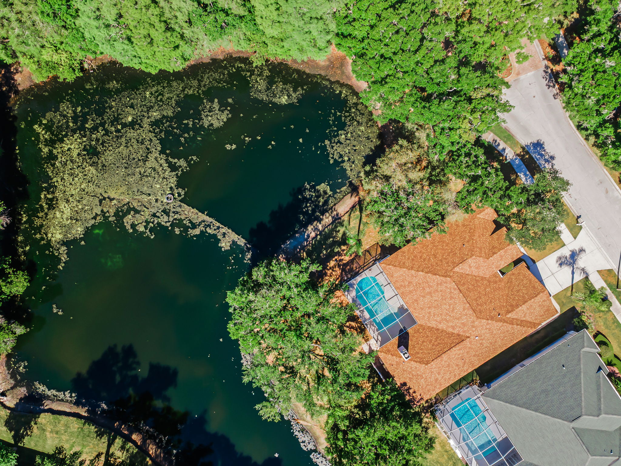 Aerial (12)