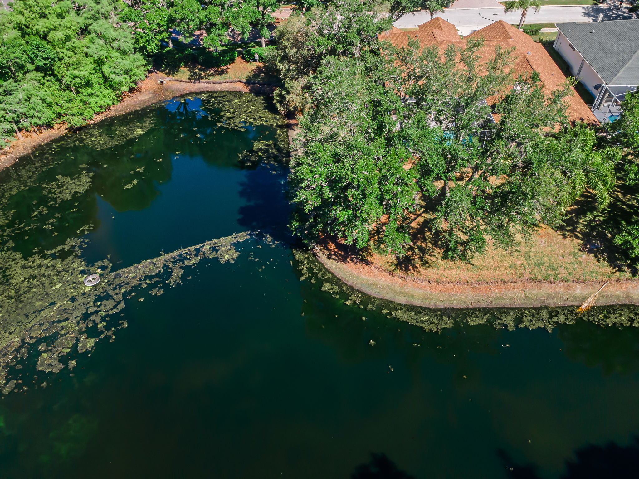 Aerial (14)