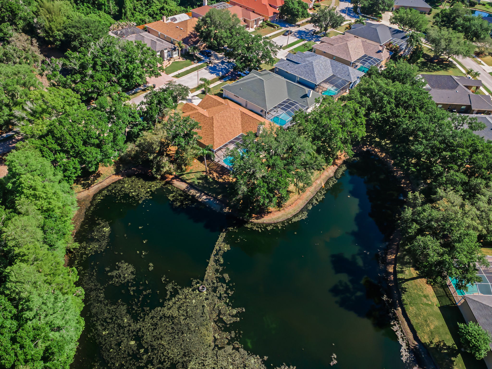 Aerial (6)