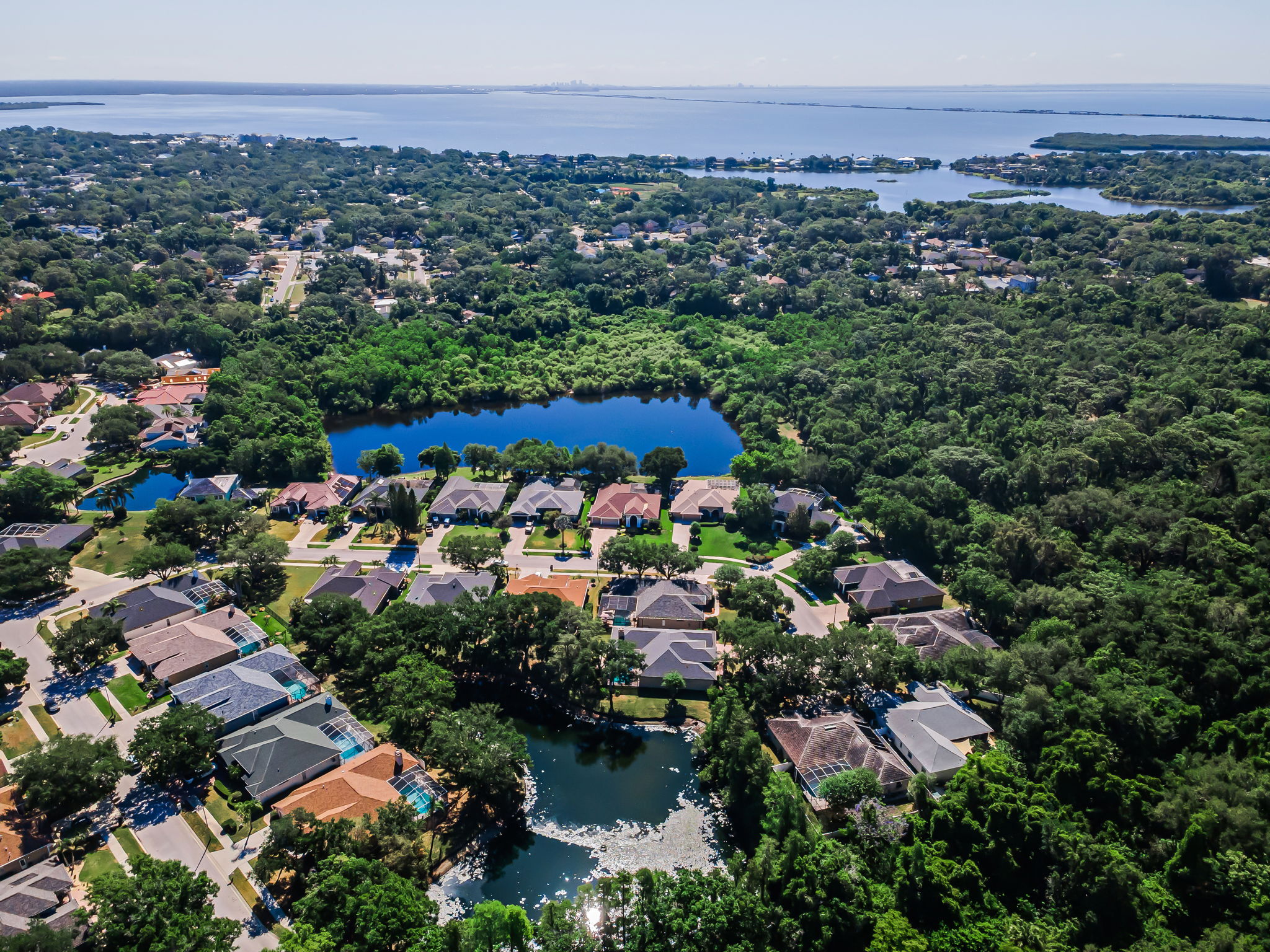 Aerial (7)