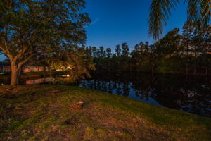 Backyard20