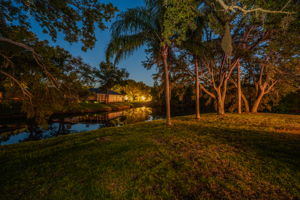 Backyard27