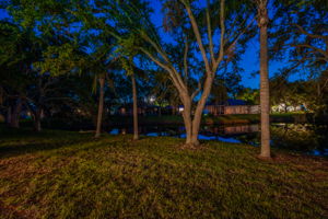 Backyard30