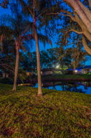 Backyard31