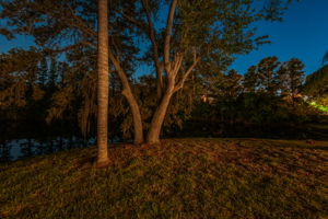 Backyard34