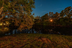 Backyard35