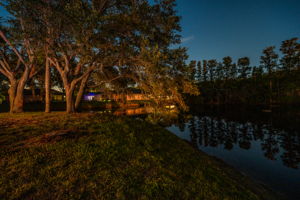 Backyard36