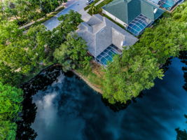 Aerial (10)
