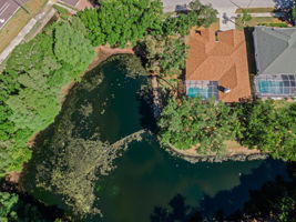 Aerial (11)