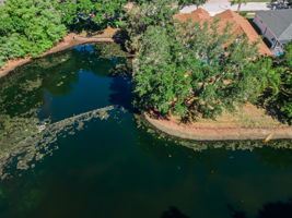 Aerial (14)
