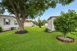 Petunia Ln-S0407-034.jpg