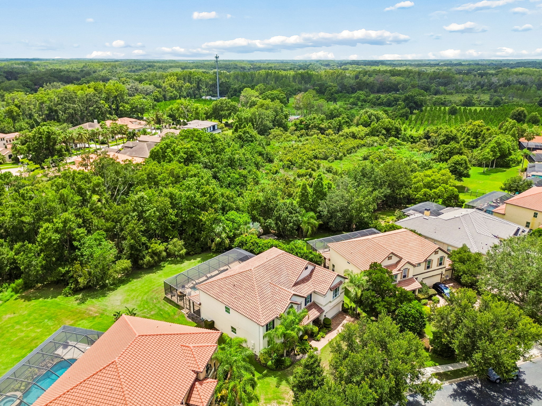 DJI_0312