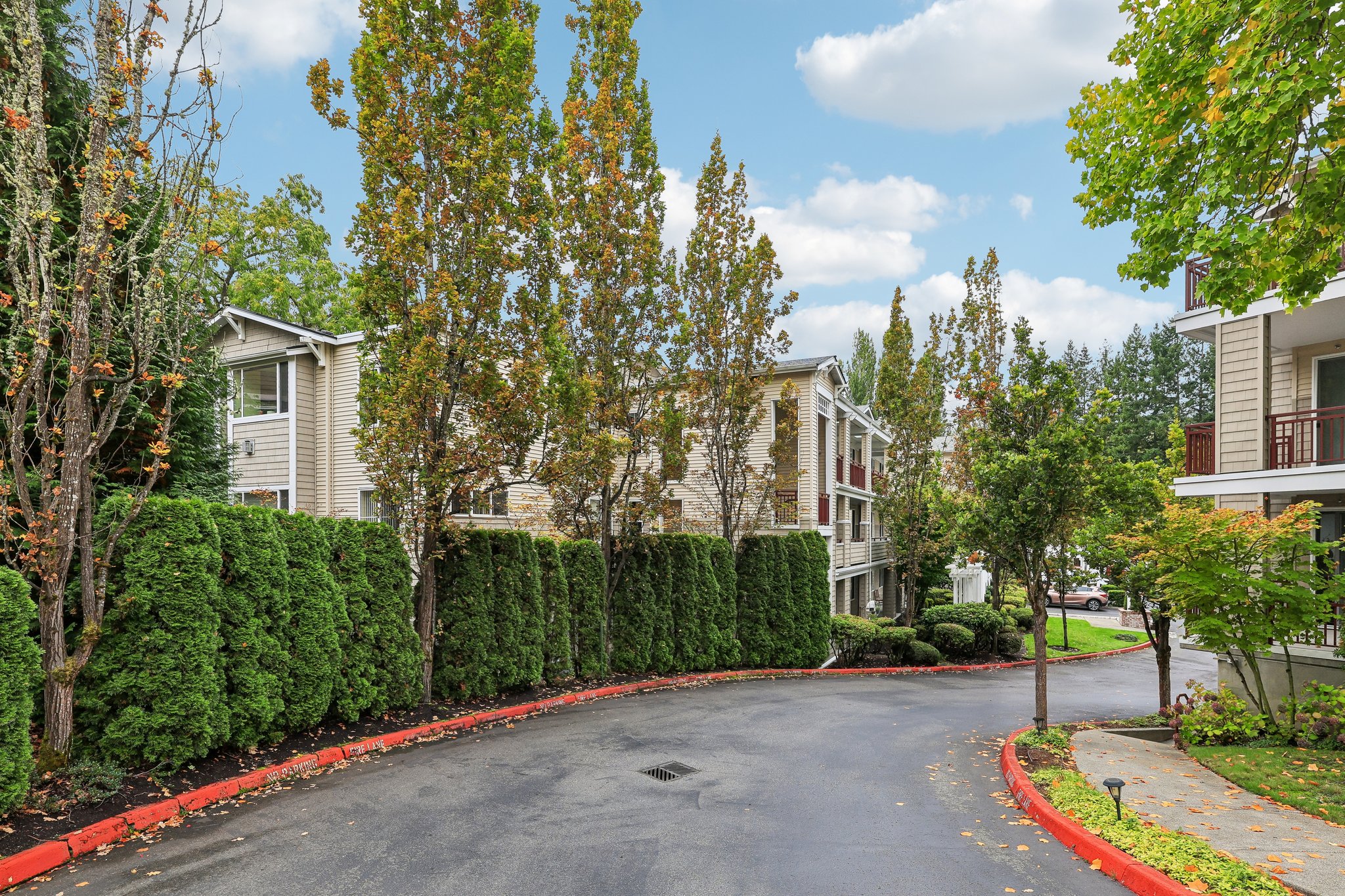134th Ave 19-S0810-047.jpg
