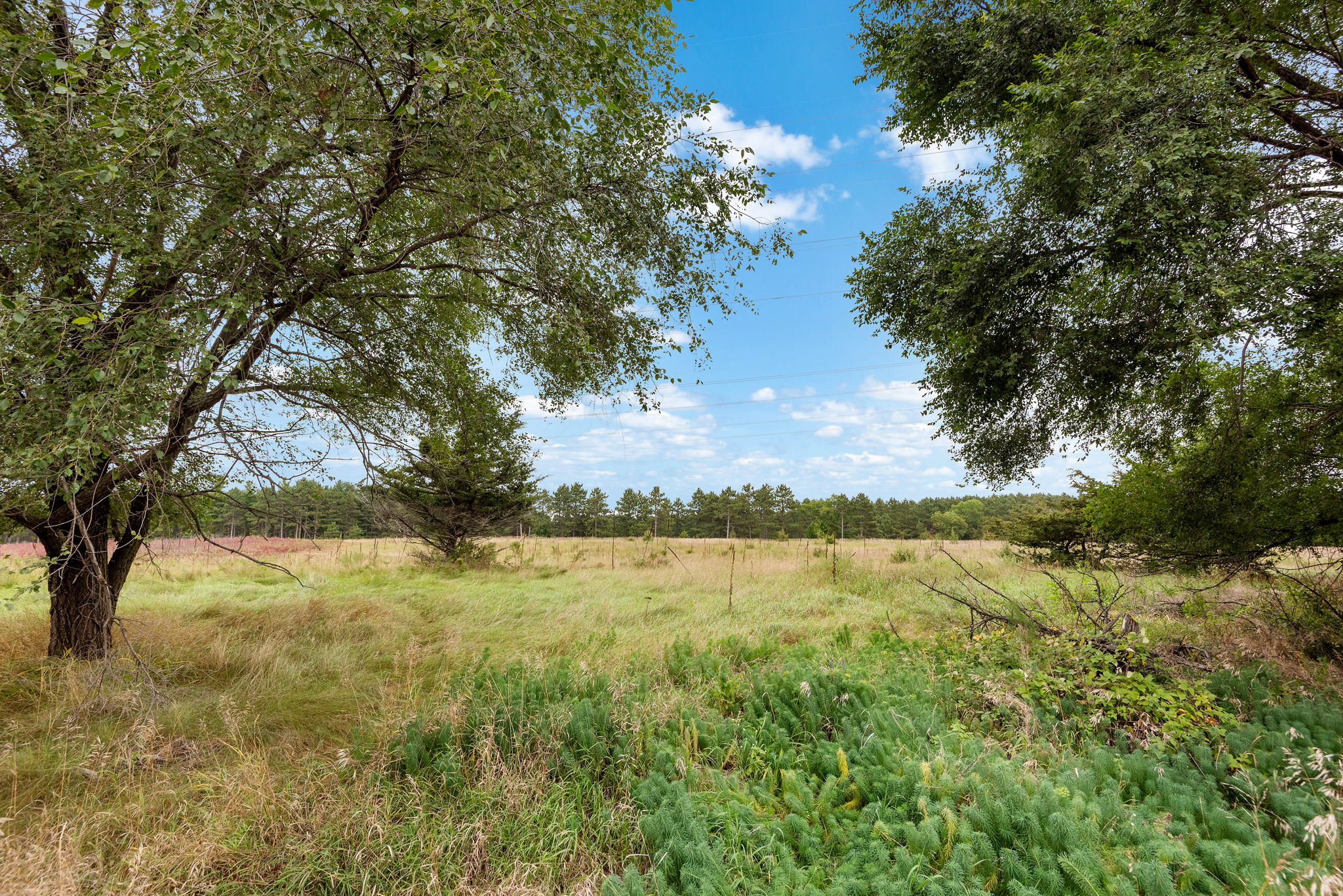  Photo 32