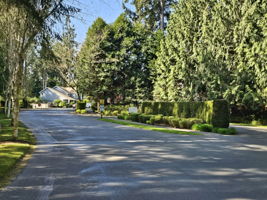  Photo 49
