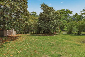31-Backyard