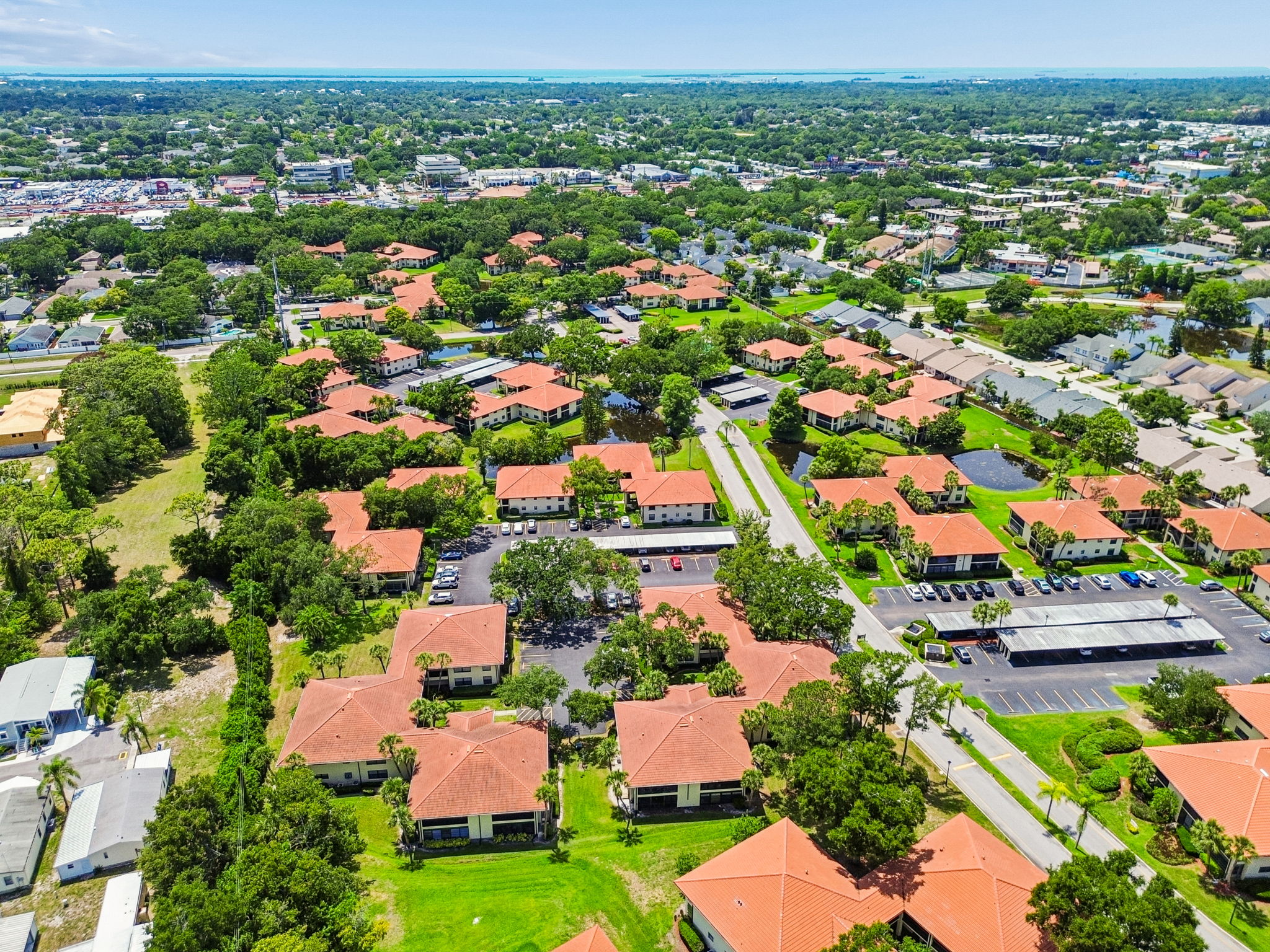 DJI_0151