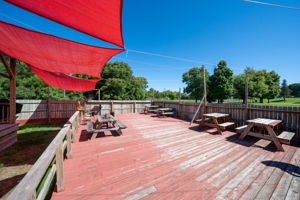  Photo 49