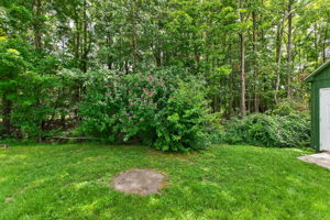  Photo 31