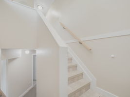  Photo 50