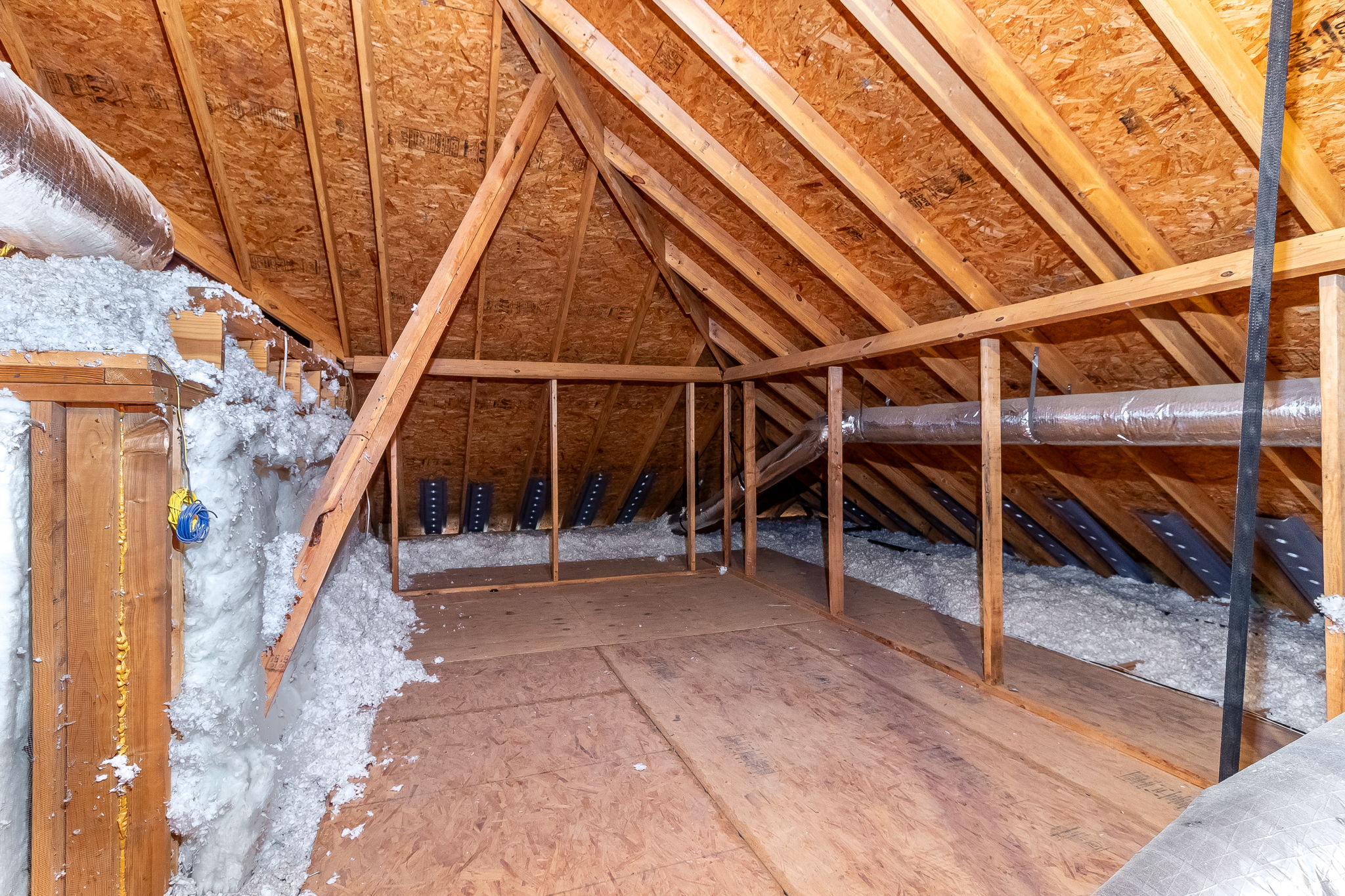 Attic Storage