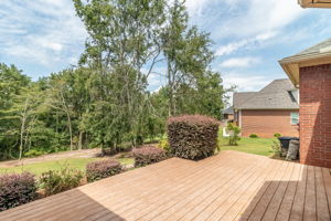 Back Deck
