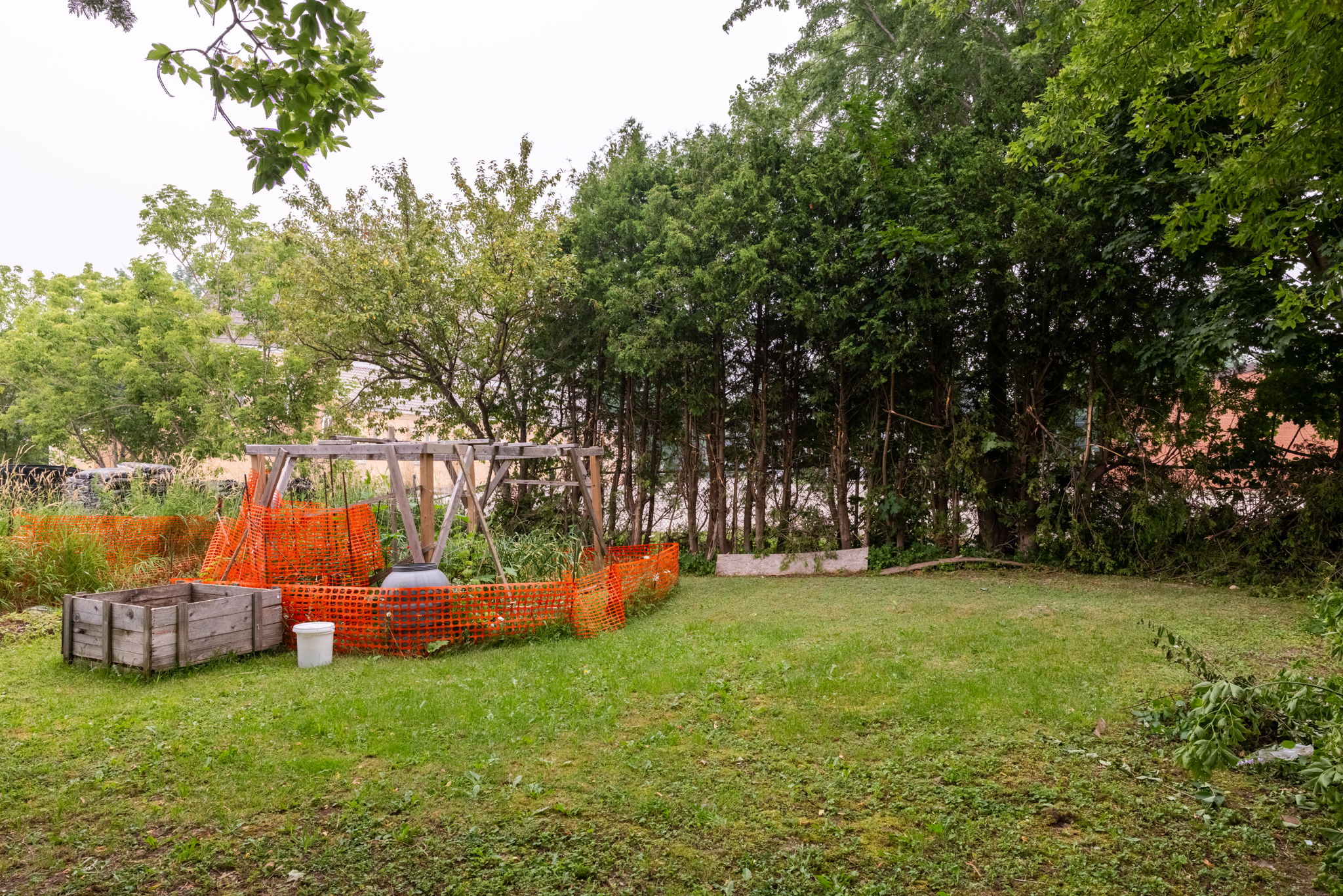  Photo 47