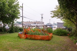  Photo 54