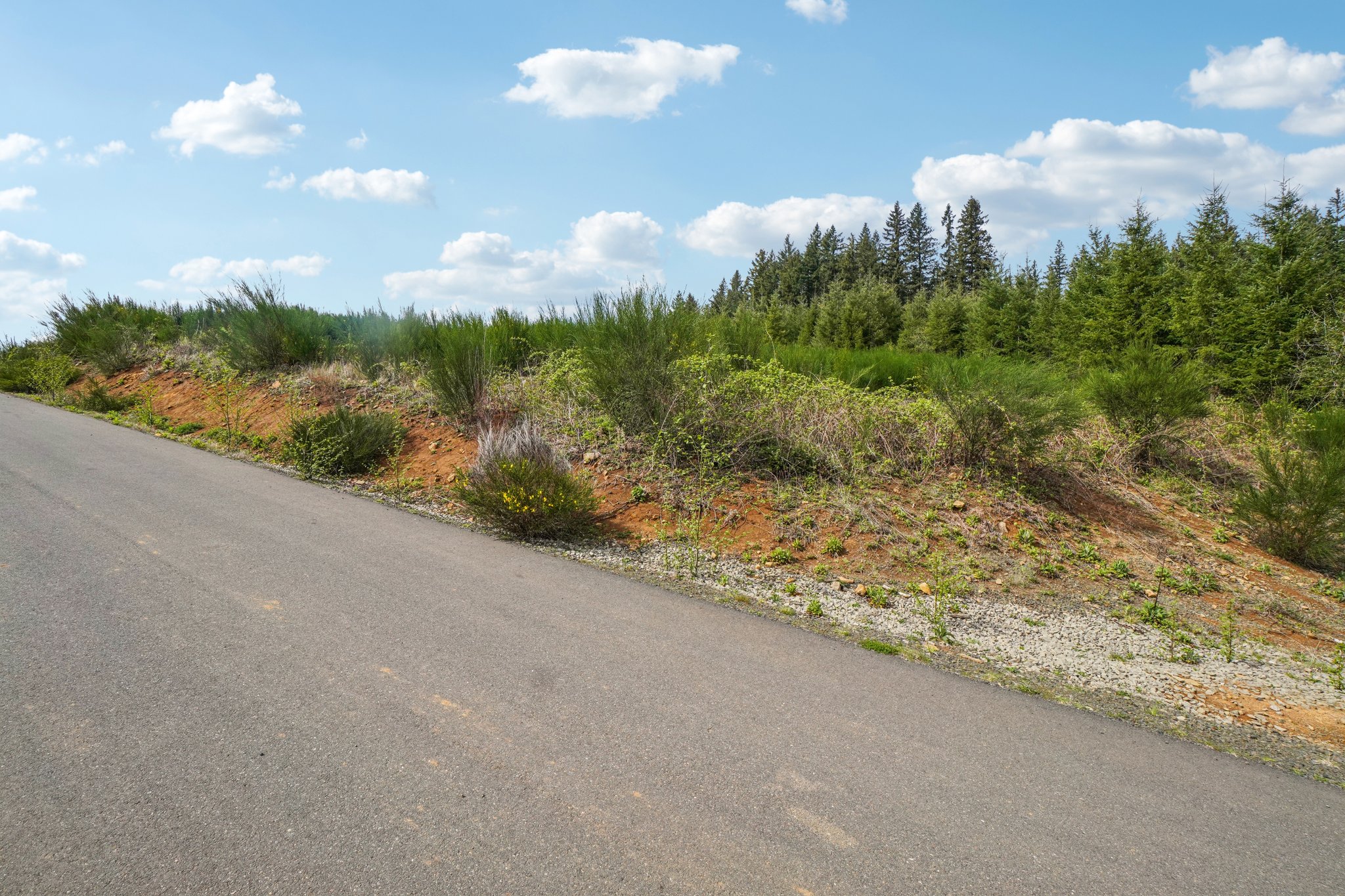 High Bank Ln-S1804-006.jpg