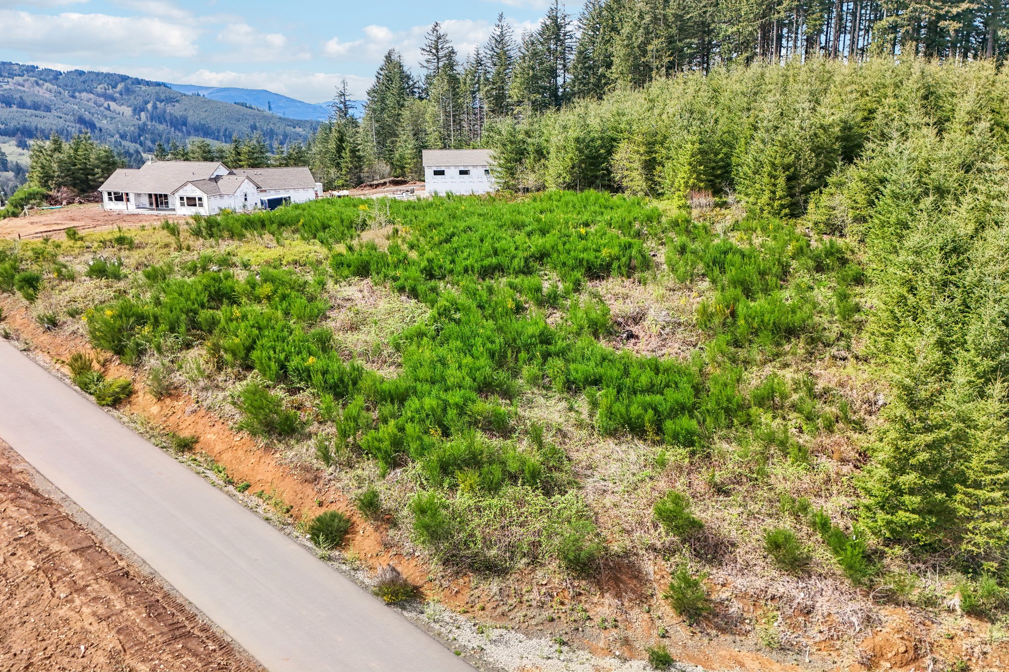 High Bank Ln-S1804-026.jpg